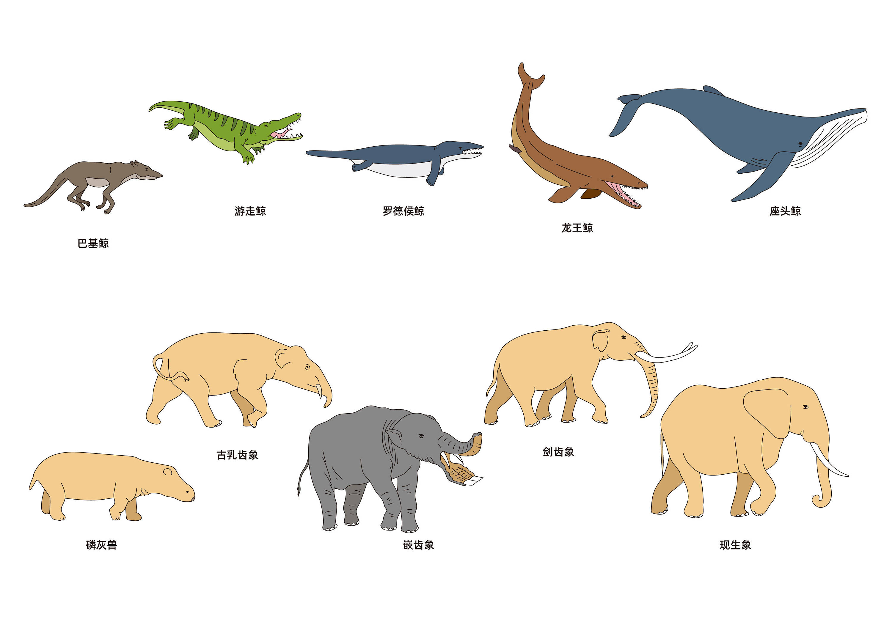 原创生命真的是进化而来的吗为什么有人说是演化