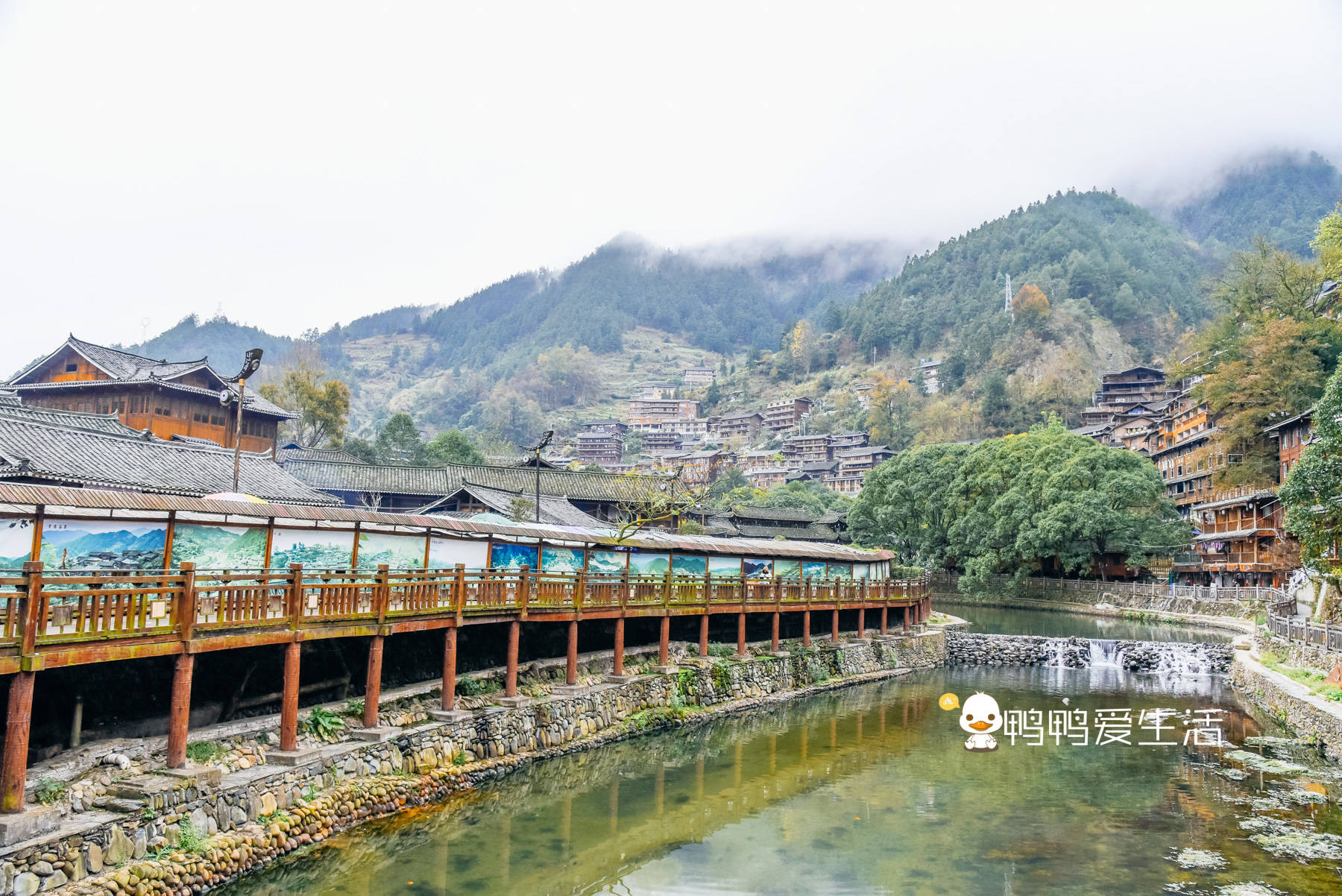 全世界|全世界最大苗族聚居村寨，余秋雨形容“以美丽回答一切”，有特色