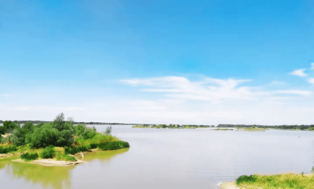 什么|甲友心声——切了这只蝴蝶，我还有很多翅膀