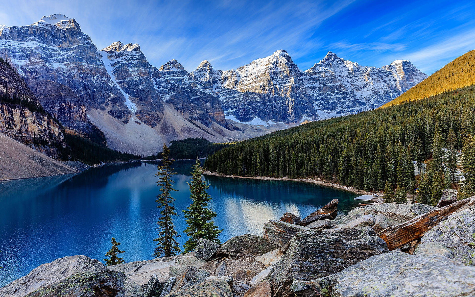 我是爱你的,你是自由的_一个人