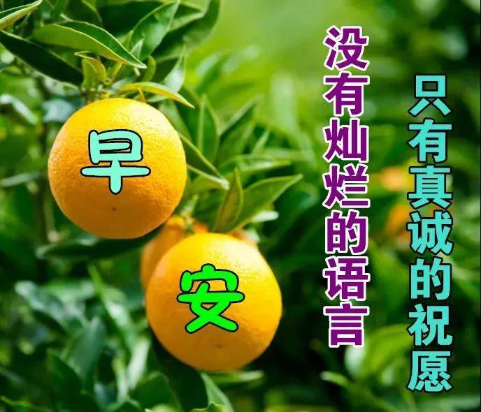 原创8张特有创意好看的冬日早上好问候祝福图片聊天不用打字的祝福