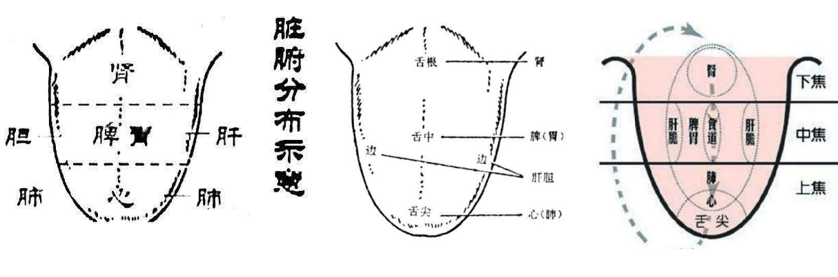 情况,这些都是可以直接观察的,属于中医望闻问切四诊内容中的望诊部分