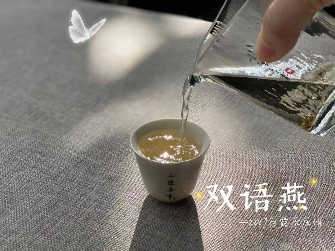 知识科普|同是茶具，为什么盖碗和紫砂壶泡白茶，滋味差别这么大？