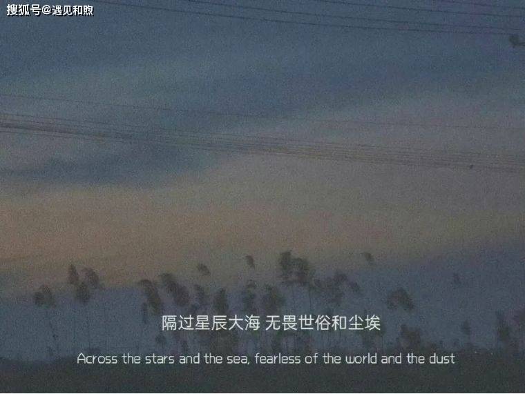 a0a20977ea5442b597b51824693f781d.jpeg