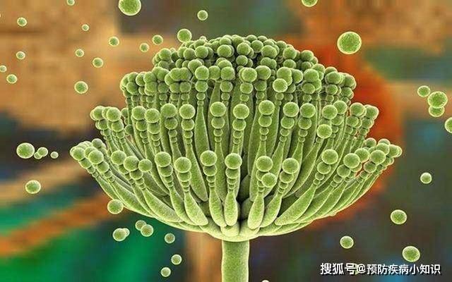 肝脏|为什么中医讲“百病从肝治”？哪些因素会导致肝脏受损？建议避开