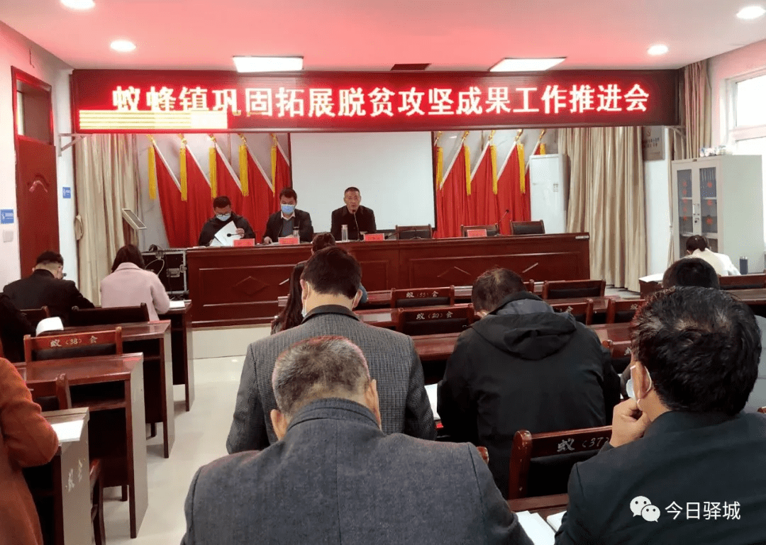 驿城区蚁蜂镇召开巩固拓展脱贫攻坚成果工作推进会