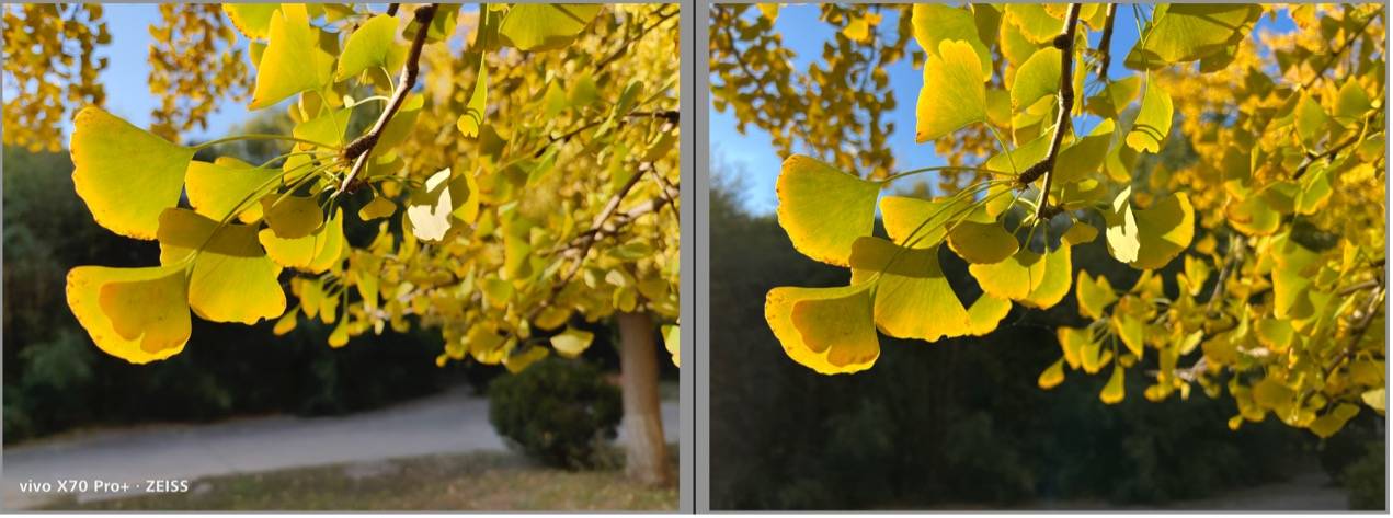 iPhone 13影像系统解析，iPhone 13 Pro Max与X70 Pro+影像对比