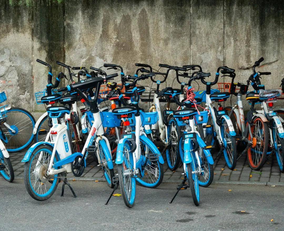 自行车 是bike 那 电动车的英文是啥 Shared
