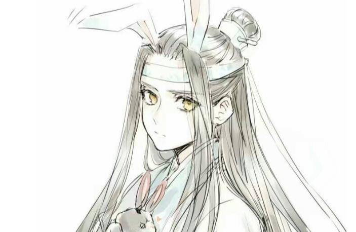 第五个:蓝二哥哥,二哥哥魏无羡死活以后,蓝忘机是