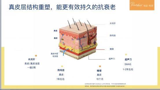 分析双孖医疗王培蕾|高德美2021CEO高峰论坛分析瑞蓝唯瑅爆品思路