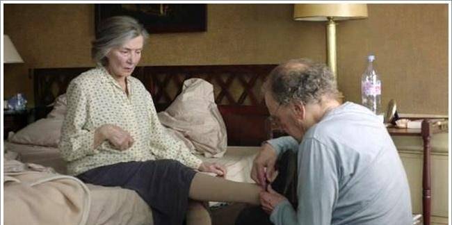 鸽子|电影《爱》带你洞见爱情最后的样子