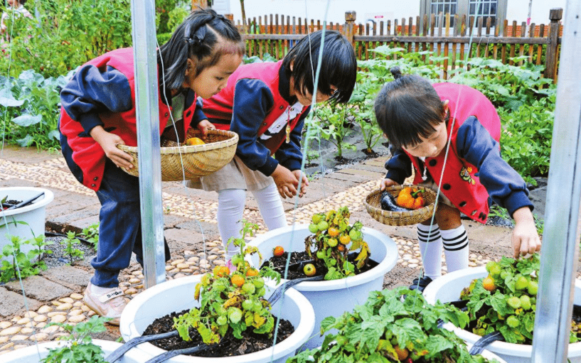 家长|幼儿园迎来重大改革，3项措施将逐渐落实，家长终于等到了