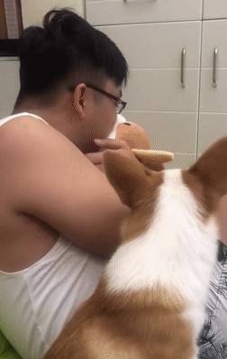 玩具嫉妒使狗狗面目全非！