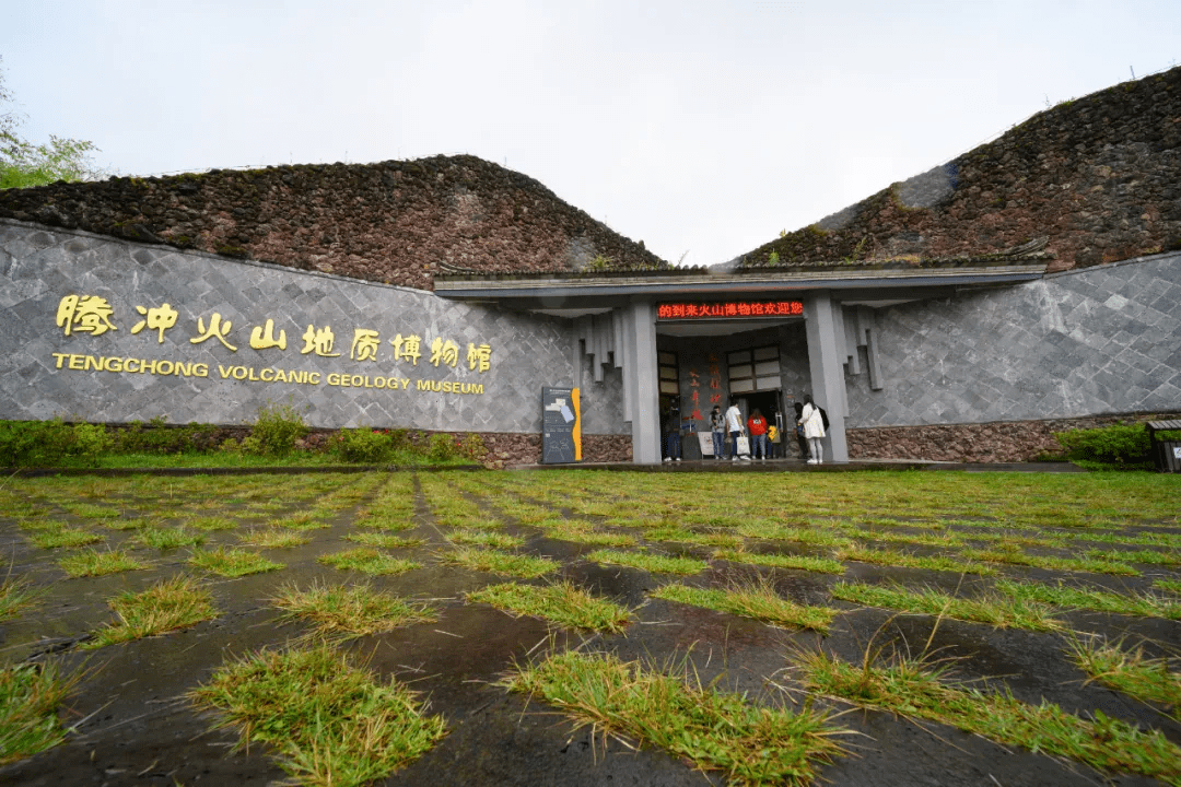 茶园|乡村游丨火山秘境山茶之乡马站