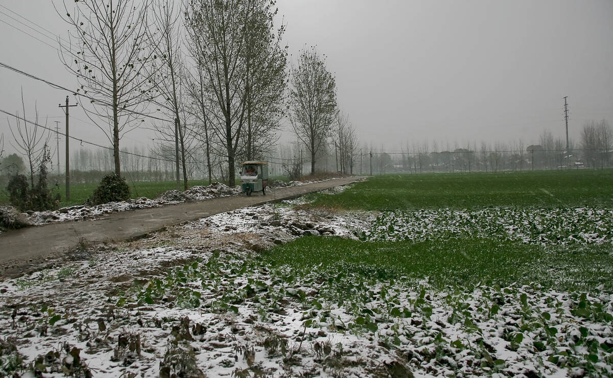 小雪临近,农村俗语小雪无雪大雪补,大雪无雪农民苦,为啥呢