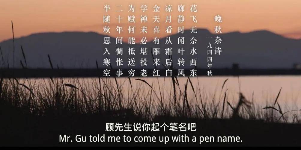 叶嘉莹|纪录片不好看？这部电影提供了新答案