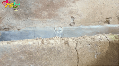 古房|《艺术大探险-古房疑云》艺术家素质教育项目，选角来自各机构