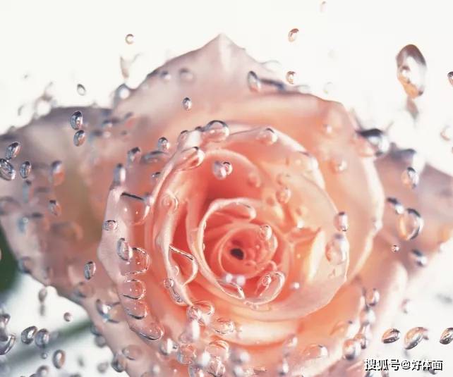 分子来，重新认识下，让肌肤喝撑了的保湿小天才