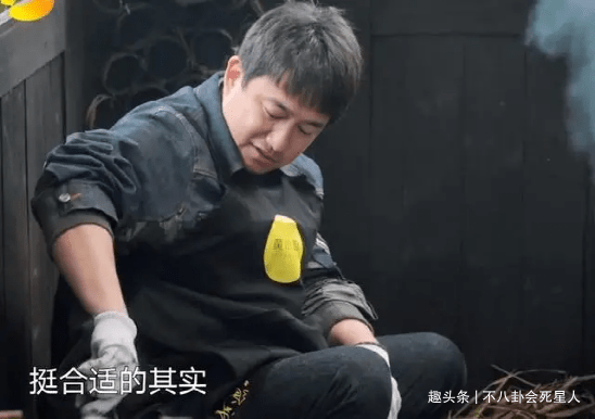 现实|杨紫一人录三期,11个小艺人录一期,《向往》揭露红与不红的现实