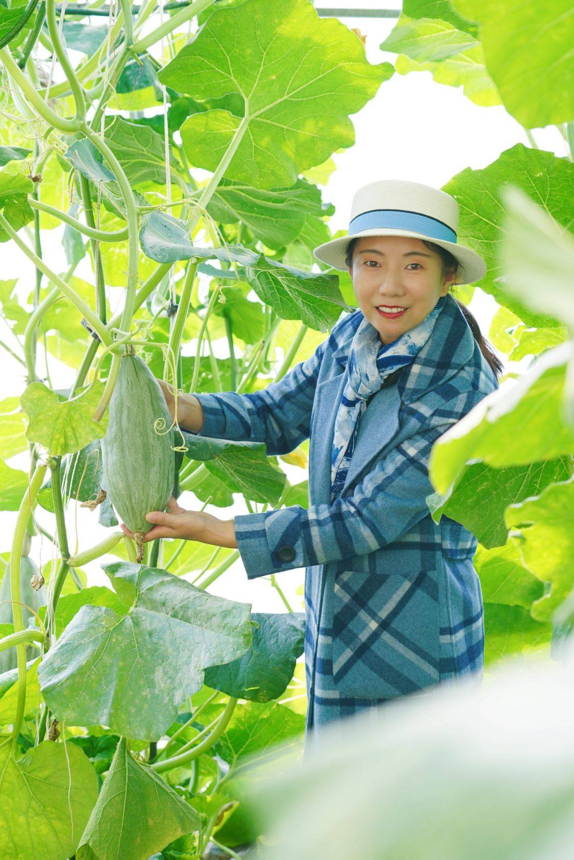 水果|冬季京郊游玩新方式，住民宿可免费采摘有机蔬菜和草莓