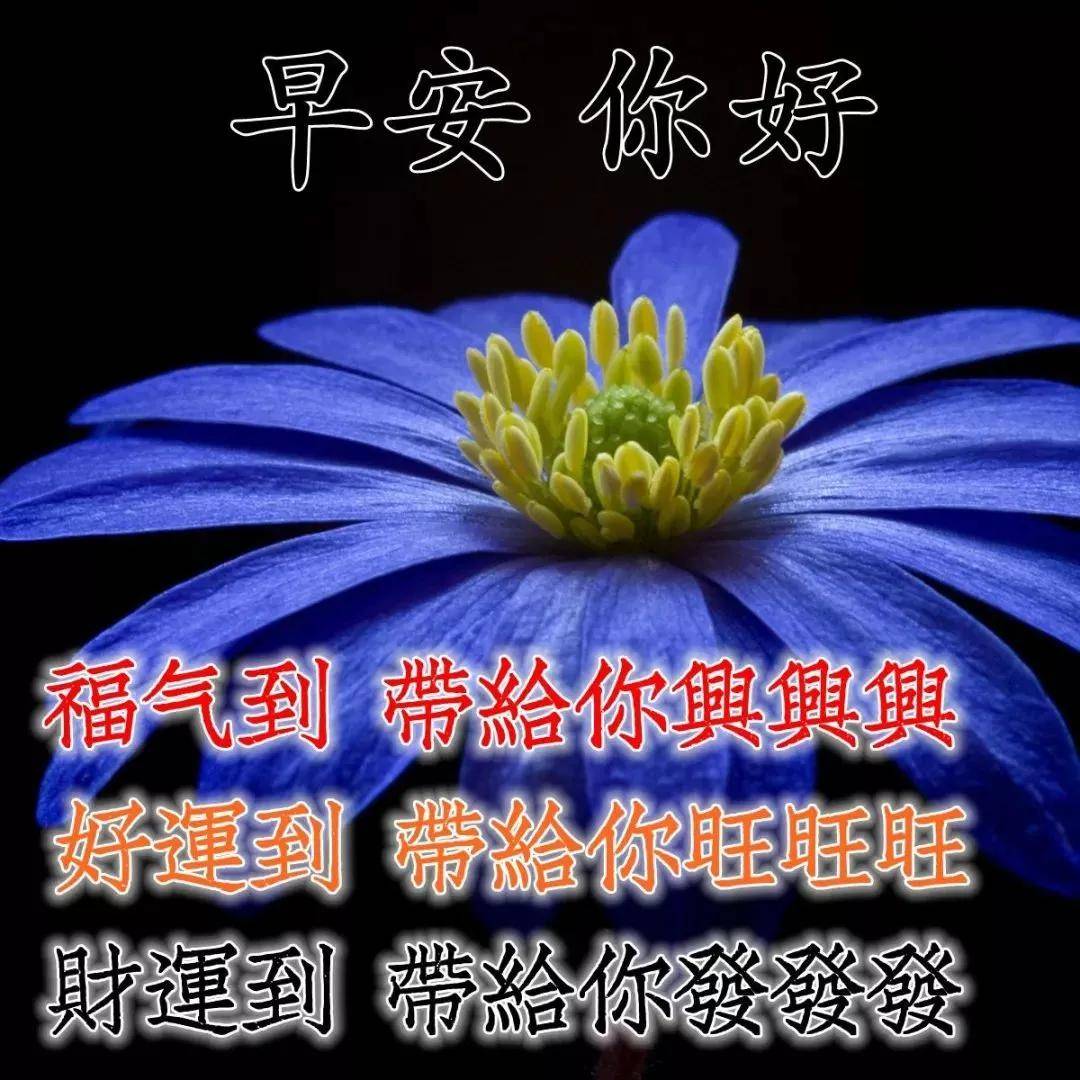 原创初冬最美的早晨好问候表情动态图片早上好问候祝福动态表情图片