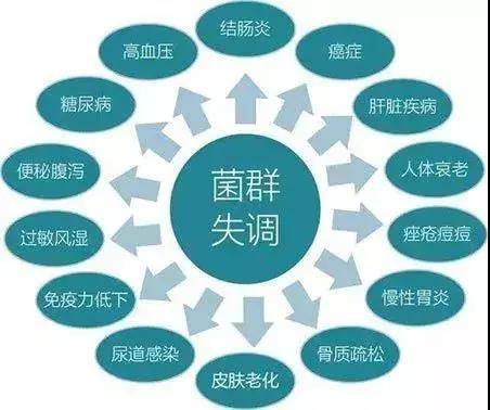 毒素|人体的清道夫——肠道菌群，喝富氢水可调节改-宝斋缘富氢水