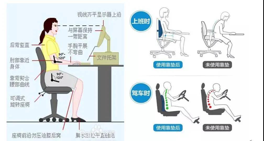 损伤|腰痛怎么办｜教您自我辨别腰痛的原因及日常预防