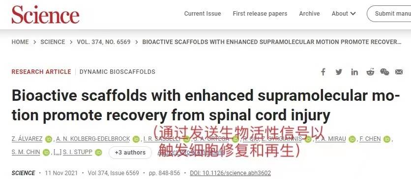 成功|一针逆转瘫痪？美西北大学研发“跳舞”分子，成功修复脊髓损伤
