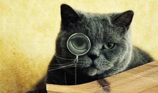 家长|每日一笑:最近减肥,我和男朋友一起吃早餐,习惯性把一半给他!