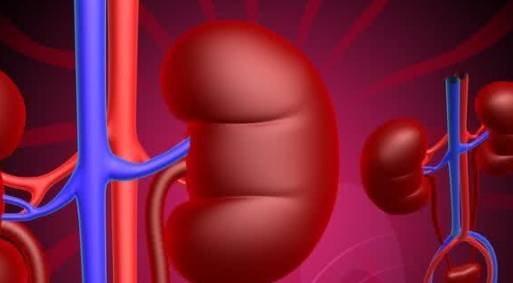 肾脏|为了恢复肾功能，这两件事必须坚持做，肾病好转更快