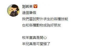 技能 51岁刘若英近况,暑期带5岁儿子尝试野外求生,曾被曝苦恋恩师多年