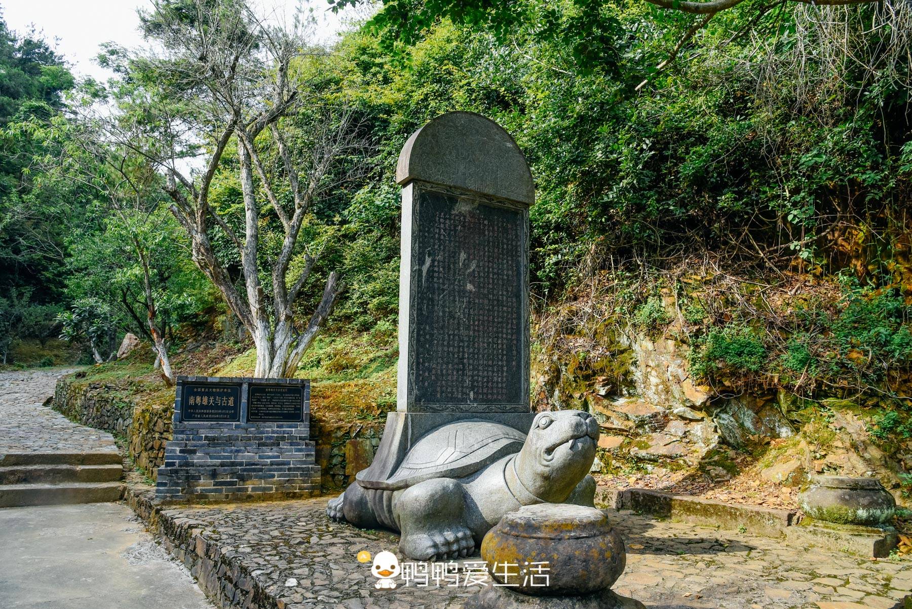 梅岭|广东江西交界的低调小城，竟是岭南姓氏的发源地，饮食上无辣不欢