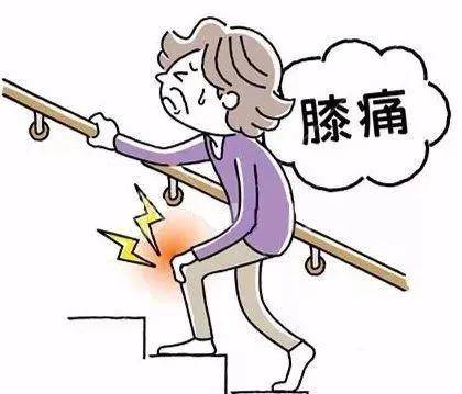 针灸|针灸何以治疗膝关节痛？