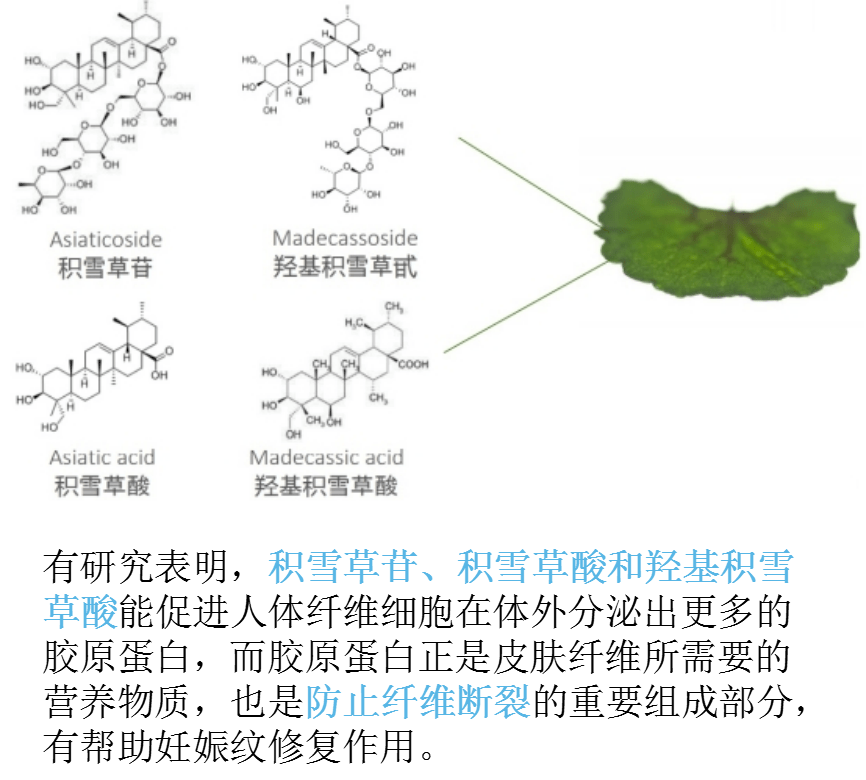 产品用对方法比单纯的妊娠纹产品更有效！三招搞定花肚皮，全是干货！