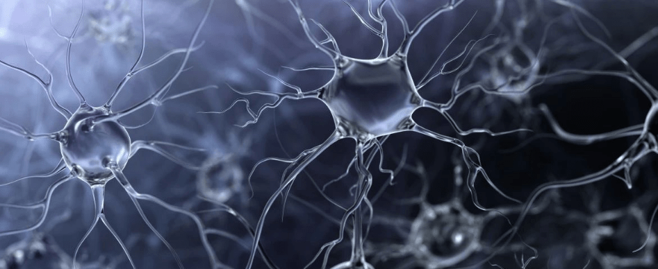 治疗|运动神经元病为什么治不好?你这样治了吗?