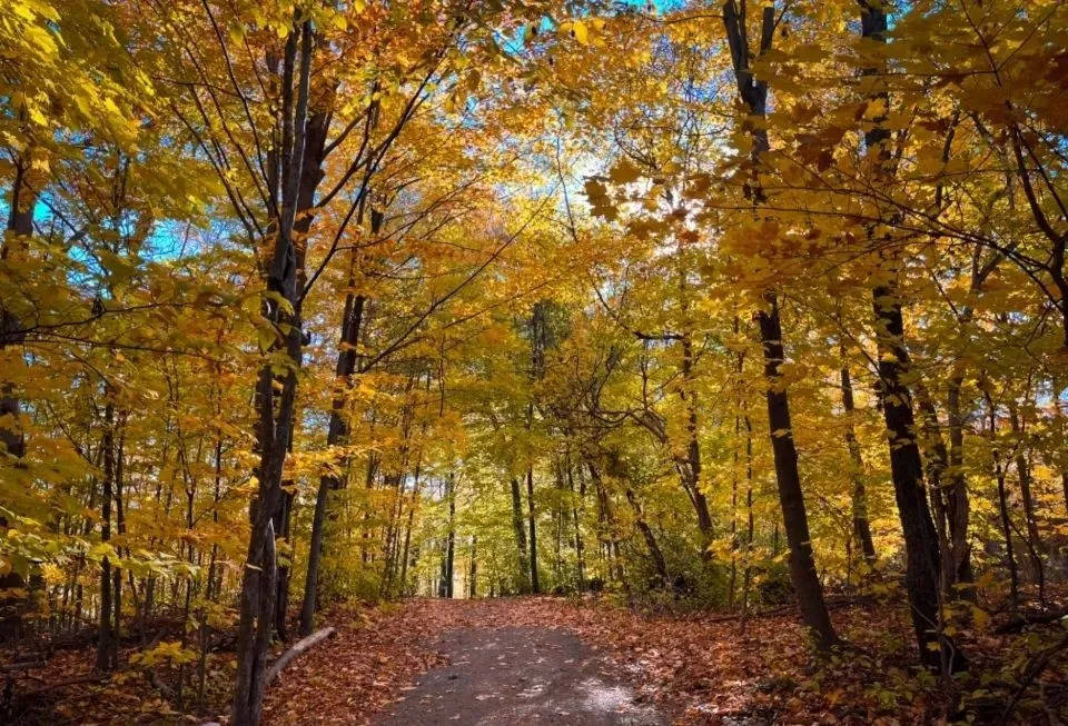 家电零售进入元宇宙时代?三星LG戴森开启虚拟现实卖货-家电圈官网