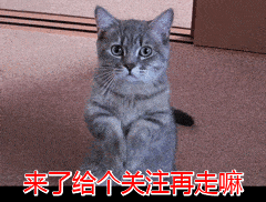 猫咪2021年上半年最多人养的6种猫咪，你最喜欢哪种？