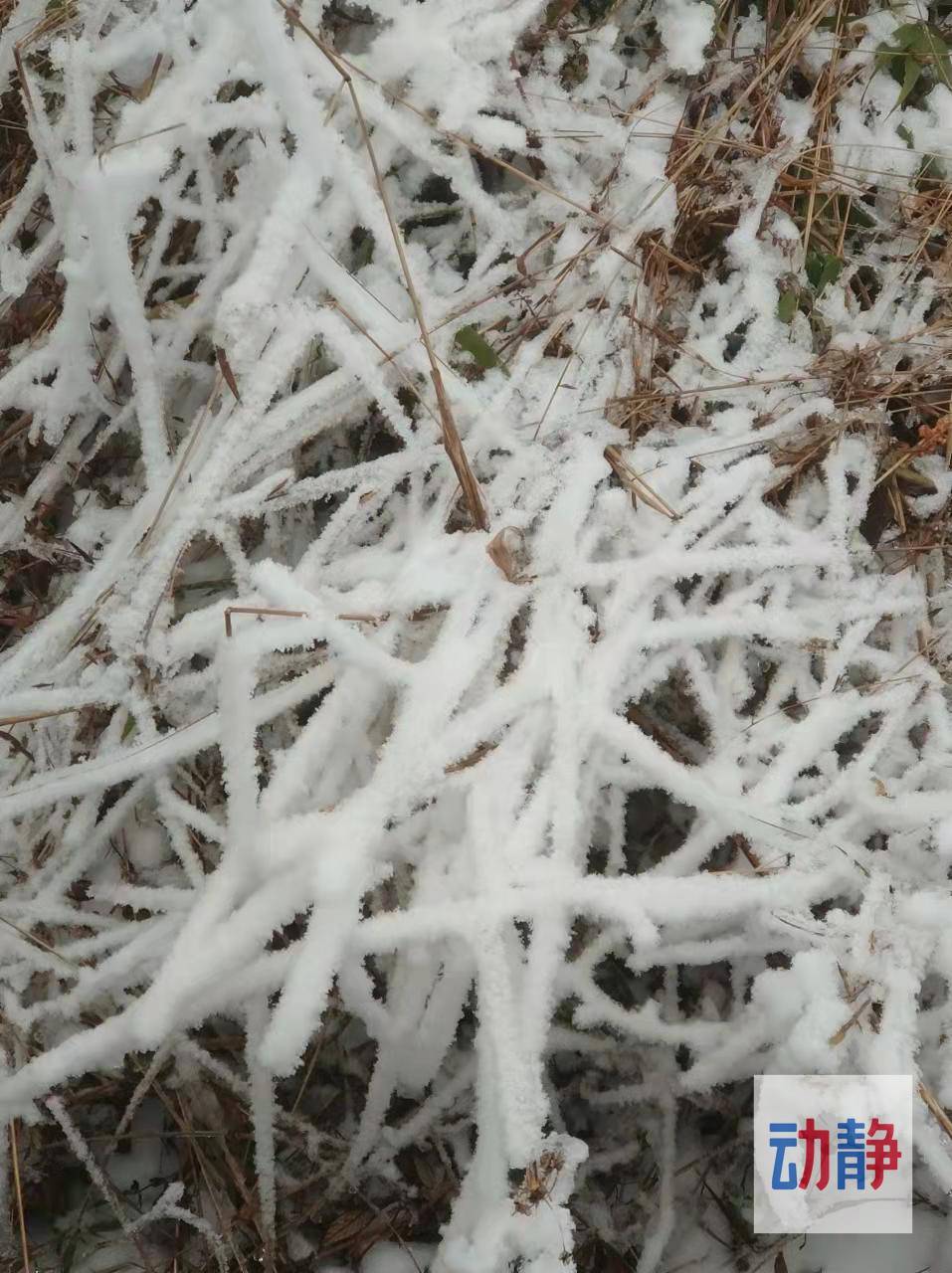 阻止不了|冰天雪地！快来贵州韭菜坪赏雪吧~