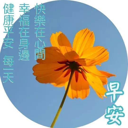 7張聊天不用打字的早安圖片帶字帶祝福語,2021最新早晨好問候祝福美圖