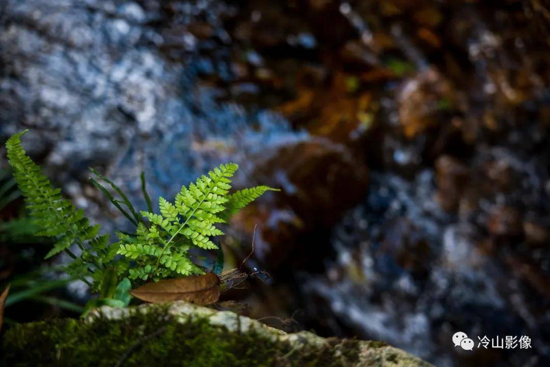 青云山|永泰旅行：谁道秋色不如春，不负周末小美好