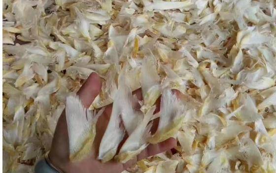 饮食|4大食物让“肾衰竭”越来越“年轻化”，青少年也看看吧