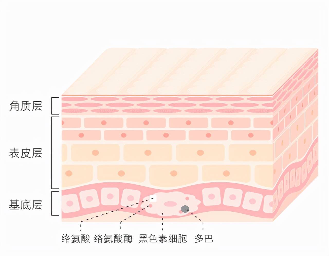 方法只要方法对，美白又有何难！