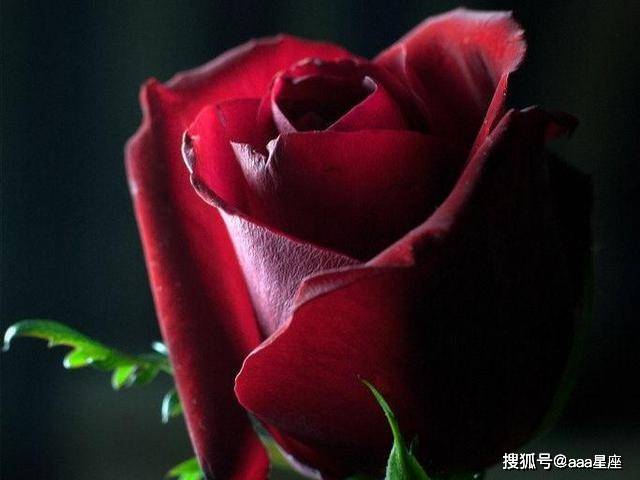 9418d6fb16384834a80c7382d59ff984.jpeg