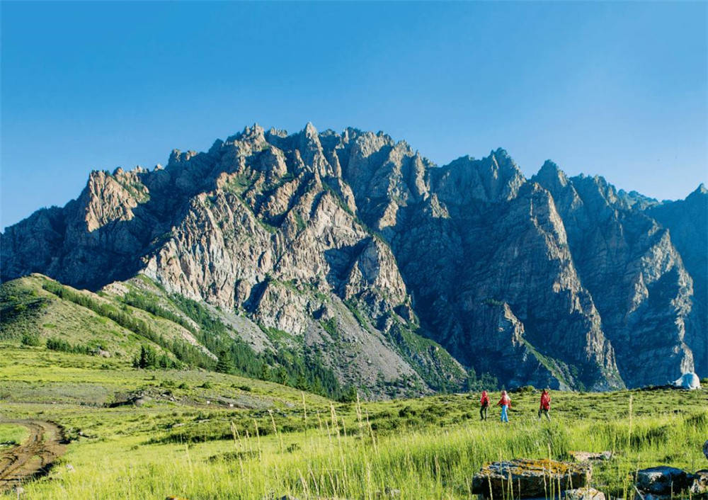 岩壁|六盘山出现华北豹，喝水撞见林麝，追了一下就停下，任由林麝逃跑