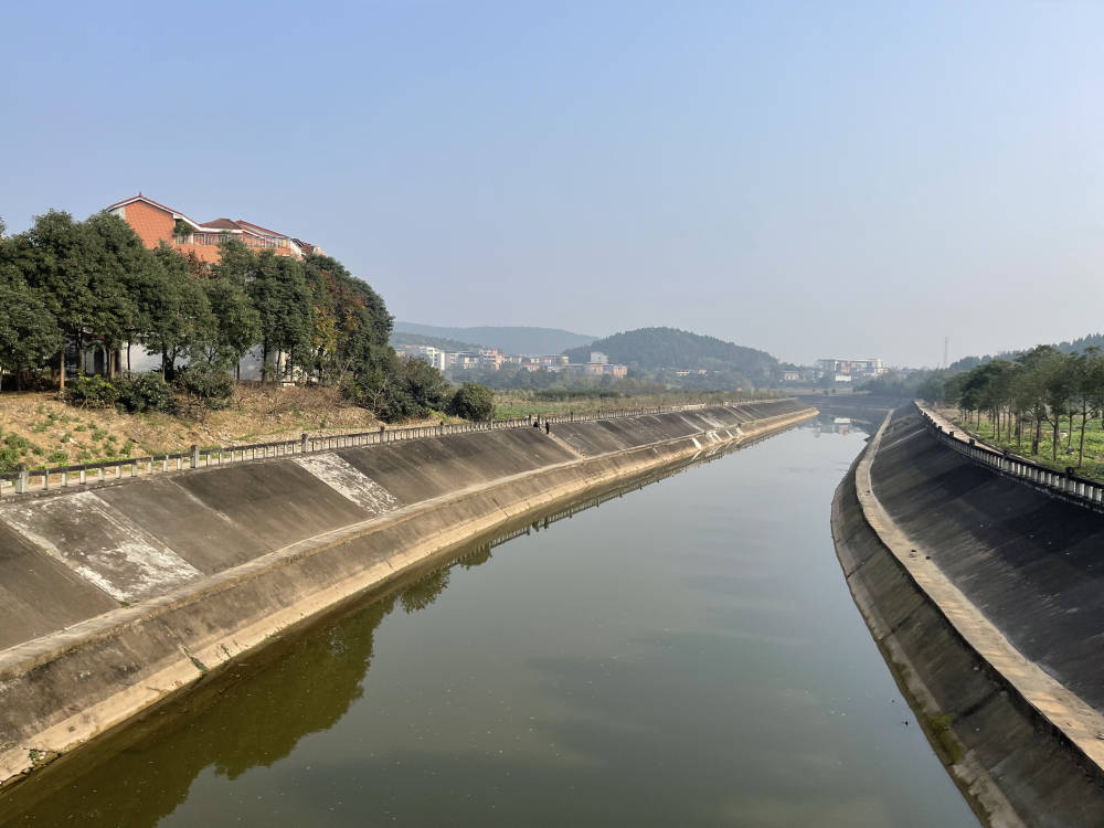 涪城丨"臭水沟"变"清水河" 好生态让百姓更有幸福感