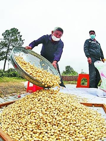 琴江：水韵灵动暖石城