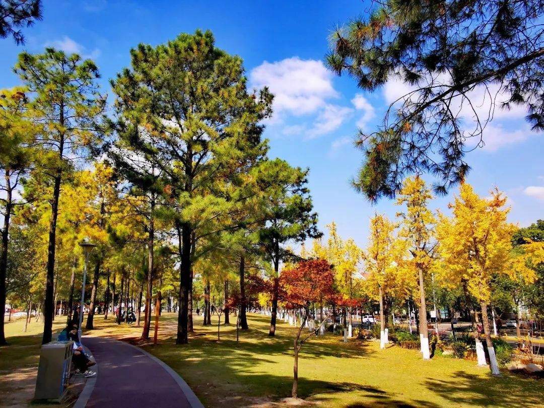 羅涇公園臨江公園最佳賞景地小寶就為大家蒐羅了幾處今天你知道寶山