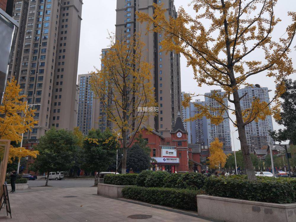 特色街区丨跃进路1958 初心不忘 故事依旧_绵阳_历史_工业