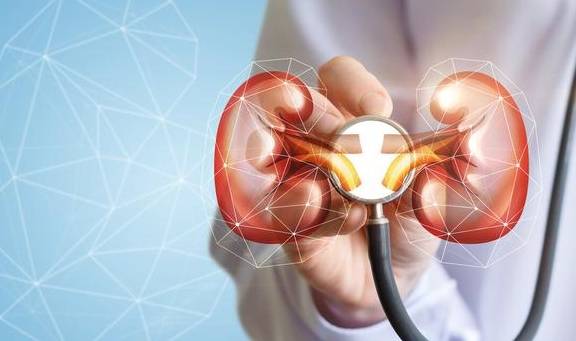 症状|肾囊肿严重可致尿毒症!6个早期信号,希望你能早点了解