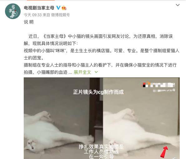 剧情|《当家主母》疑有虐猫剧情？剧方回应后却被萌宠博主质疑